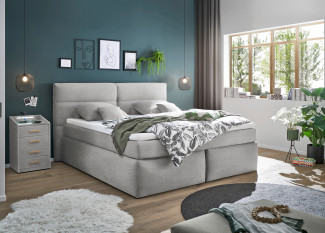 Boxspringbett LIV´IN OMAHA in light grey